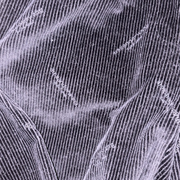 Alexander Wang corduroy high waisted pant (size 2) - Picture 1 of 9